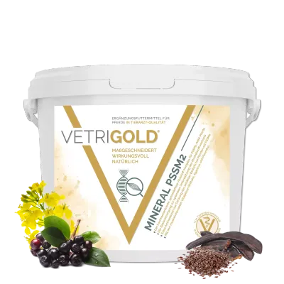 Vetrigold PSSM 2 Vetrigold PSSM 2