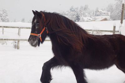 Aktuelles im Frühjahr