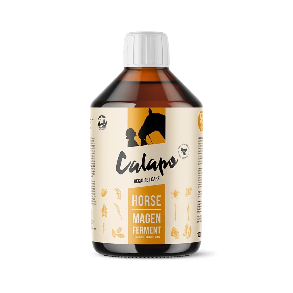 Calapo Horse Magen Ferment für Pferde