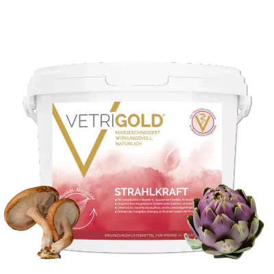Vetrigold Strahlkraft