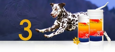 Dr.Weyrauch Drachentöter Nr. 3 Hund