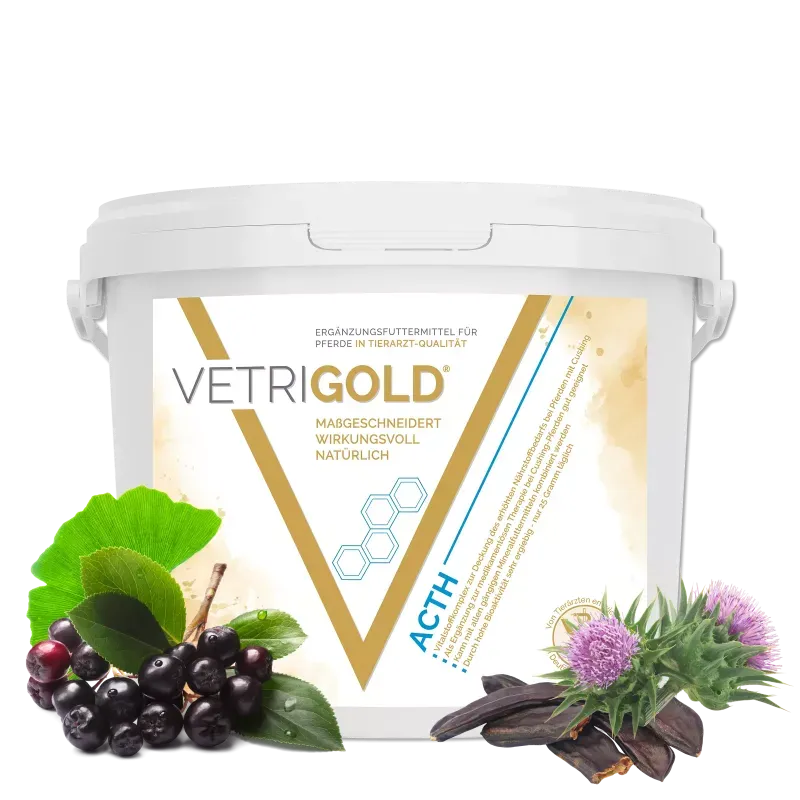Vetrigold ACTH
