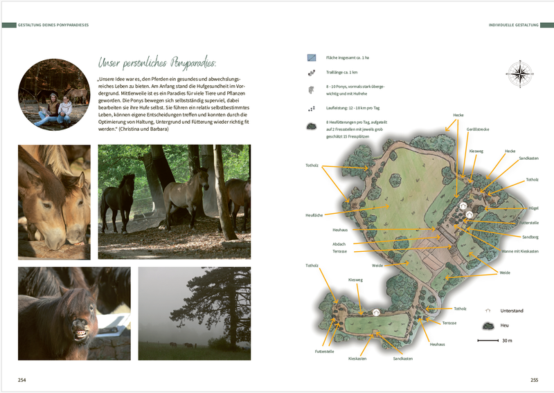 Buch "Pony Glücksmomente" - Ideen für kleinere und grössere Paddocks