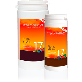 Dr.Weyrauch Feuerstrahl Nr.17, Hund