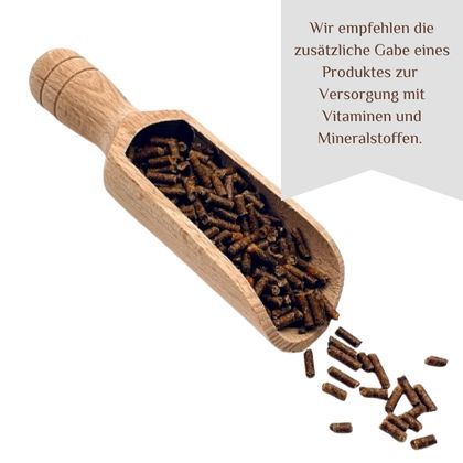 Sapodoris Pektogast - Magen