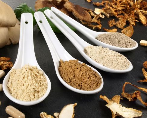 Vitalpilzmischung Darmflora