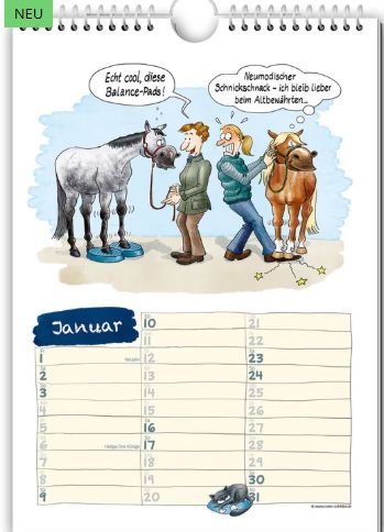 Comic-Kalender - Geschichten vom Pferd 2027