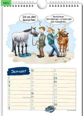 Comic-Kalender - Geschichten vom Pferd 2027