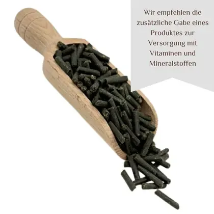 Sapodoris Muskelmino