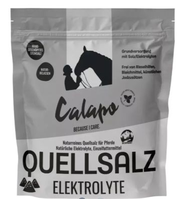 Calapo Quellsalz