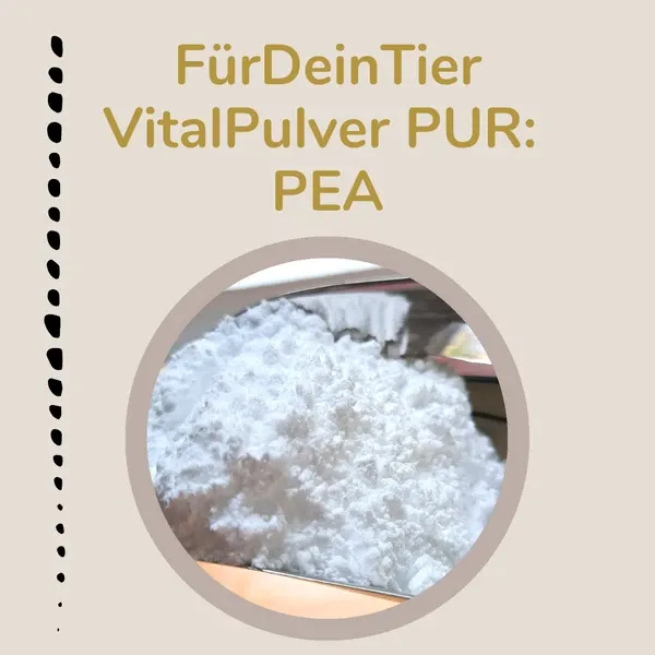 Vitalpulver Pur - PEA