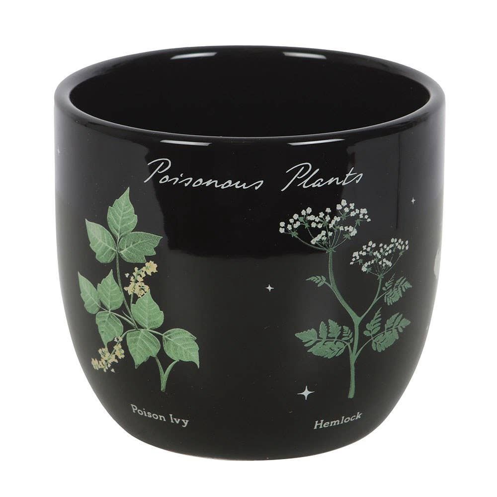 Poisonous Plants Flower Pot Planter