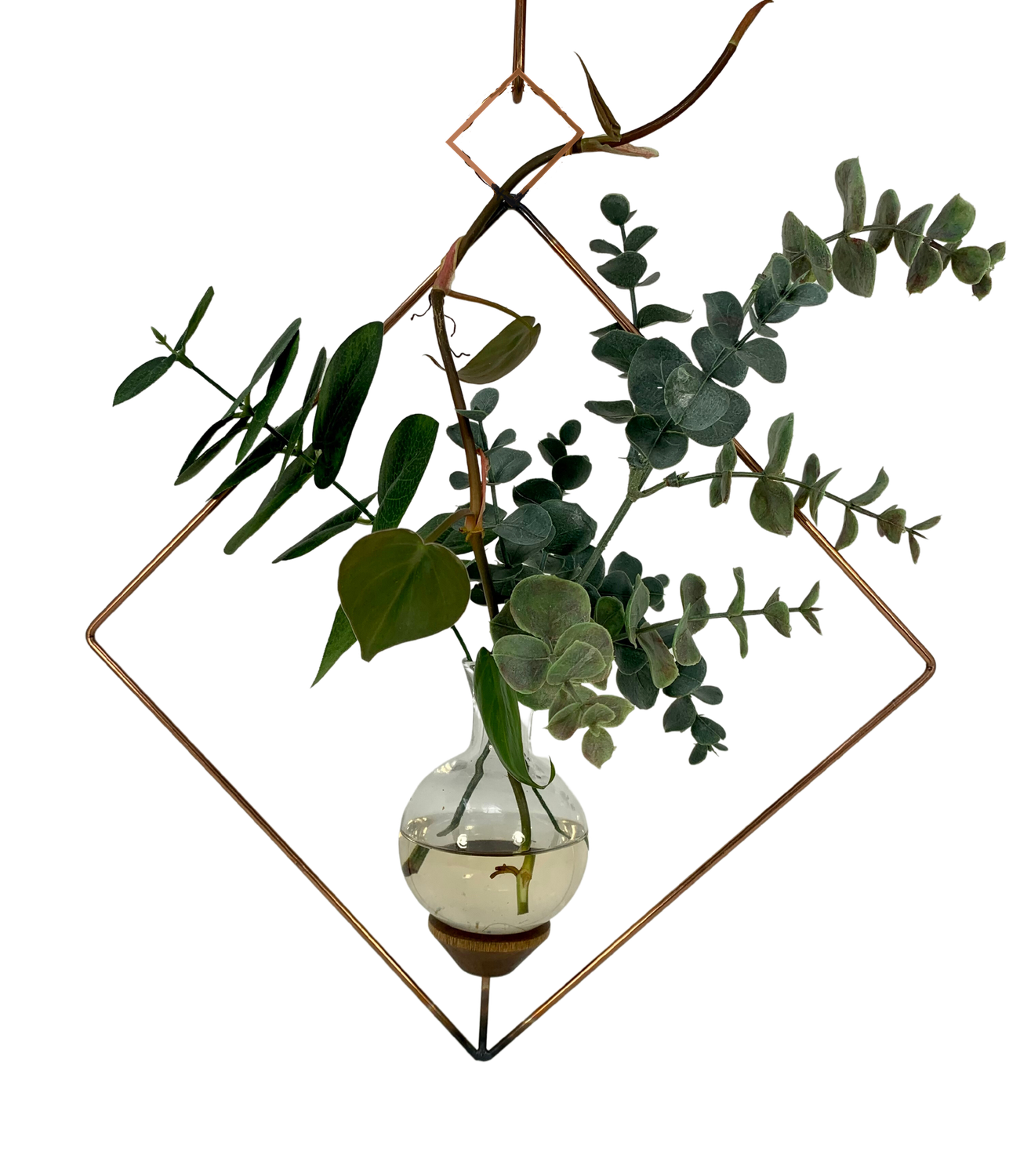 Square Plant Propagation Rooting Vase