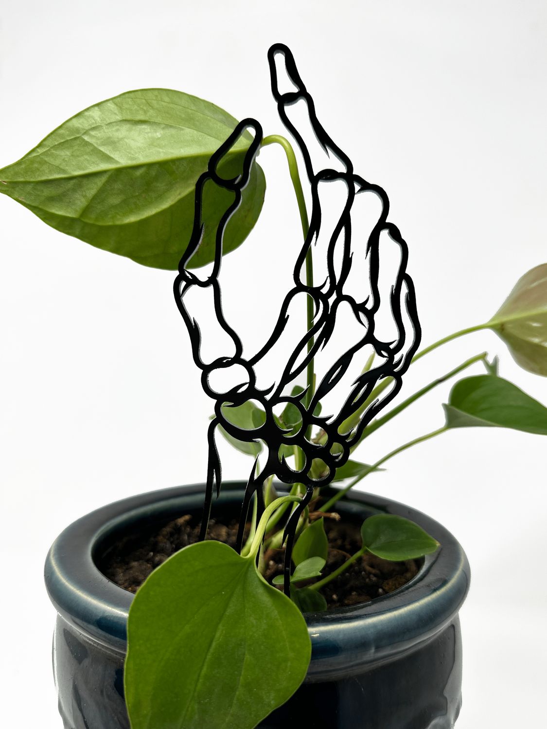 Skeleton Hand Plant Trellis: Acrylic Support for Climbing Plants