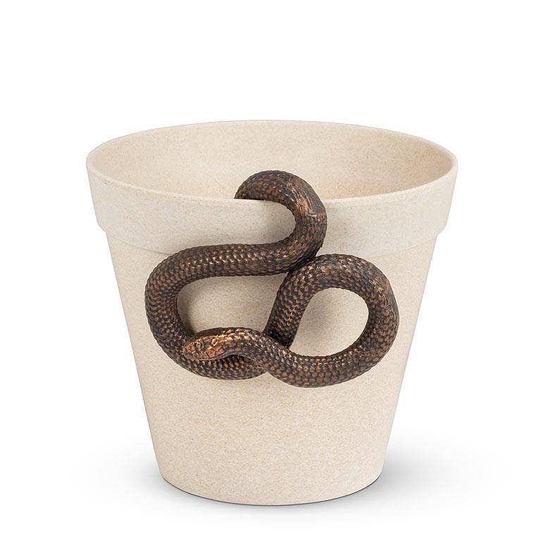 Plant Decor
