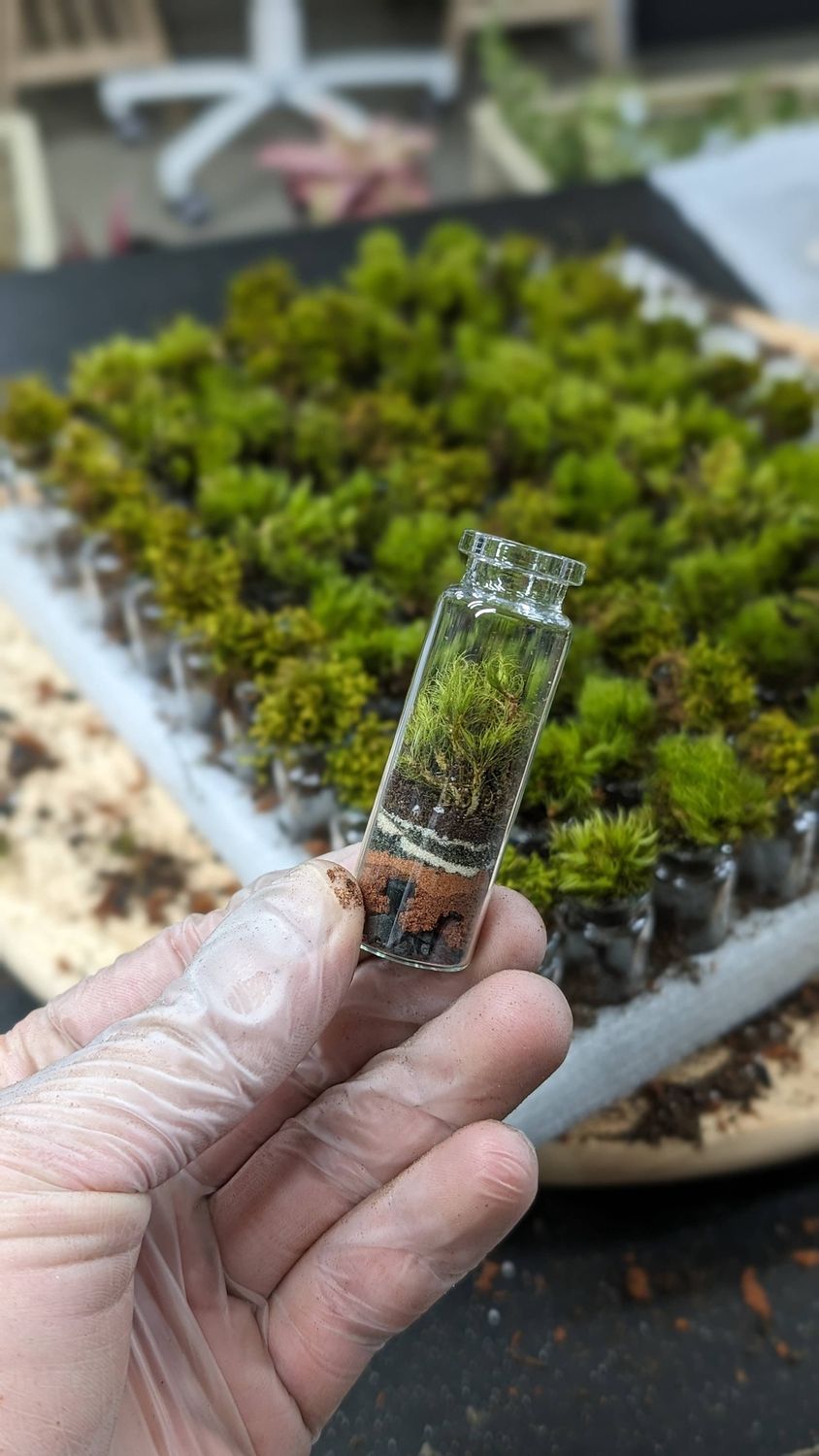 Pocket Terrarium / Self Sustaining Miniature Ecosystem