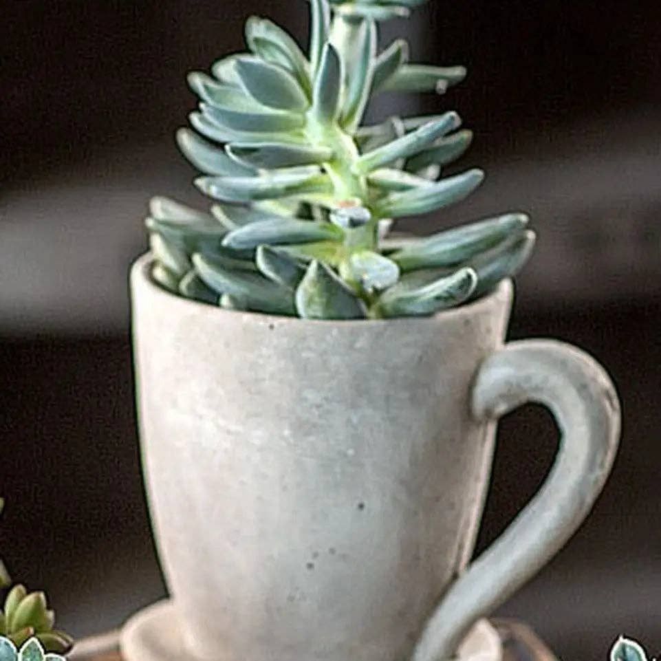 Cement Tea Mug Planter, Size: Large