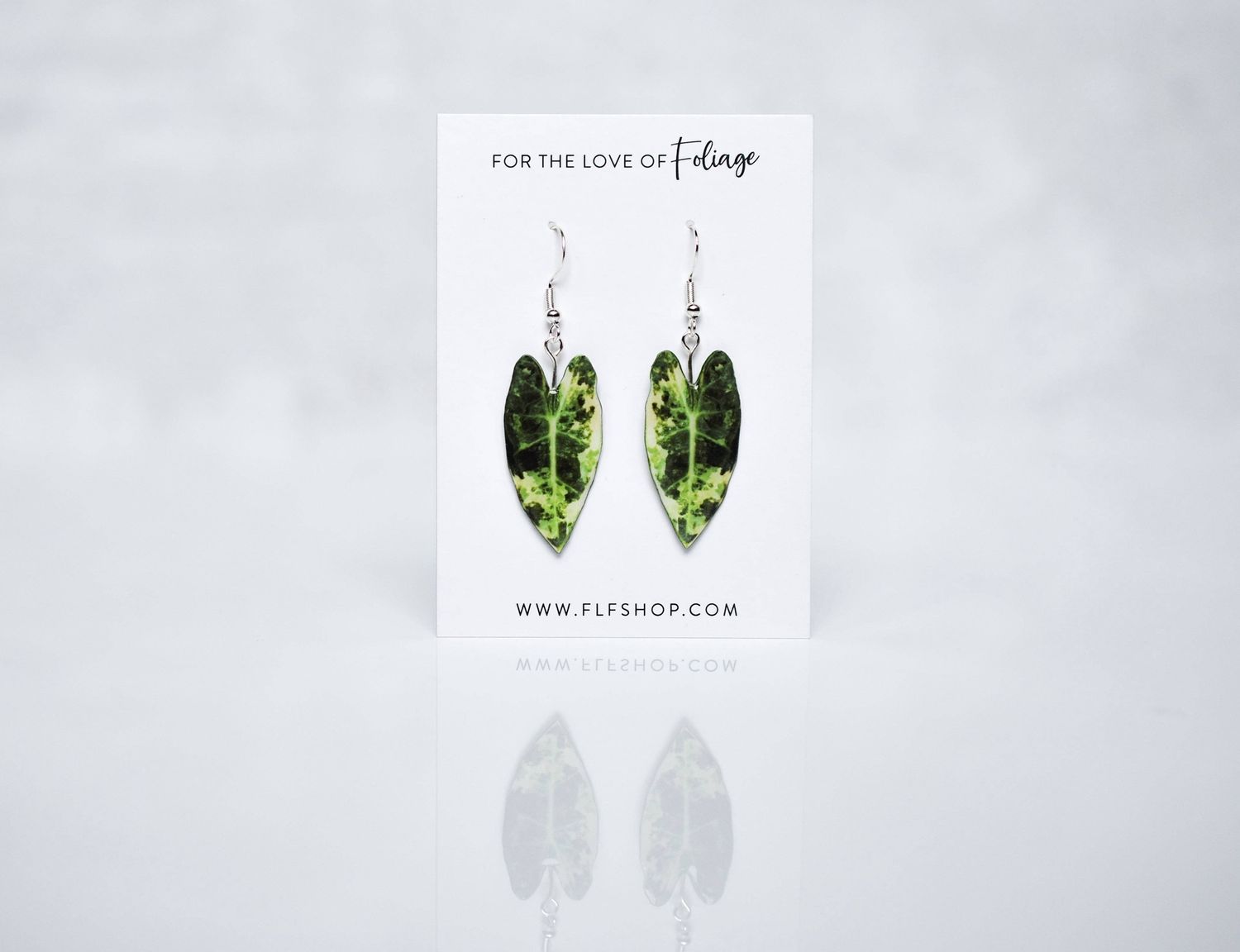 Variegated Alocasia Frydek Plant Earrings | Leaf Earrings