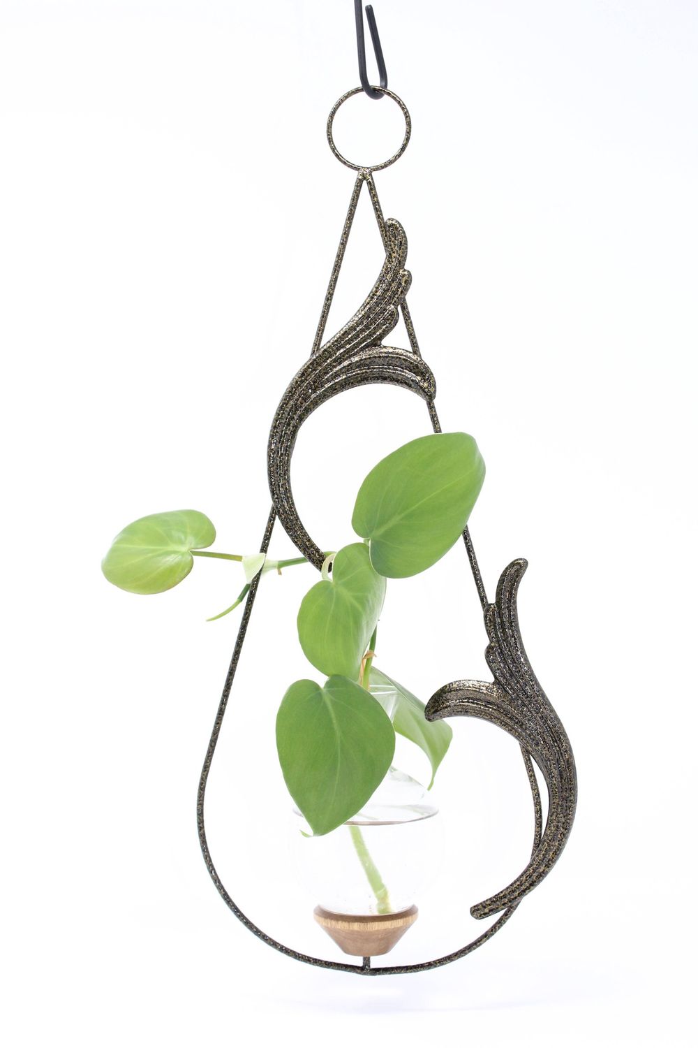 Scroll Plant Propagation Rooting Vase