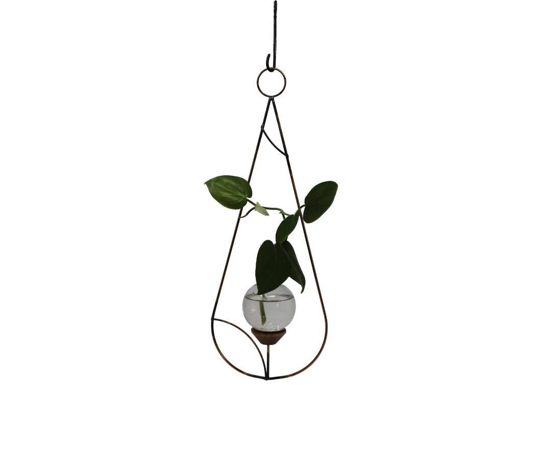 Minimalist Plant Propagation Rooting Vase