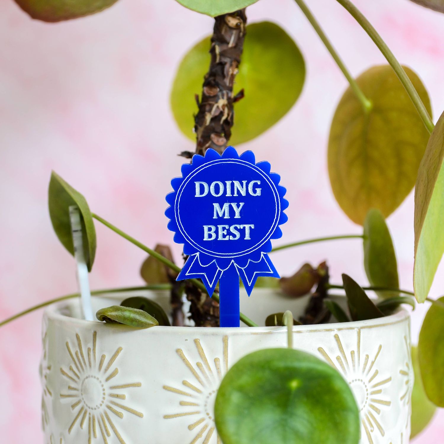 Plant Award Ribbon Stakes - Set of 5 Blue Acrylic Stakes