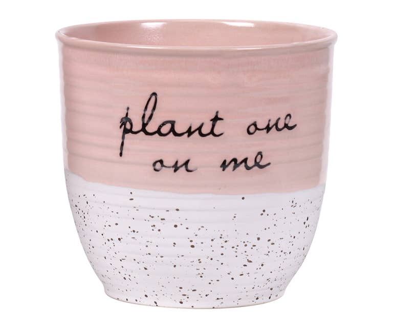 Patricia 5" Flower Pot