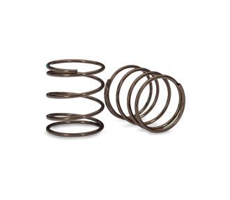 Mini GTR Springs (1.19-Rate Green Stripe) (2) — 10851