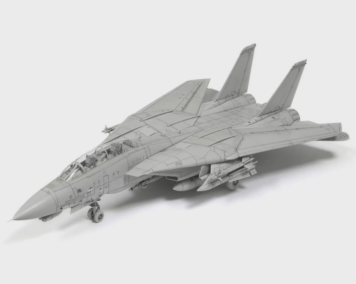 TAM60795