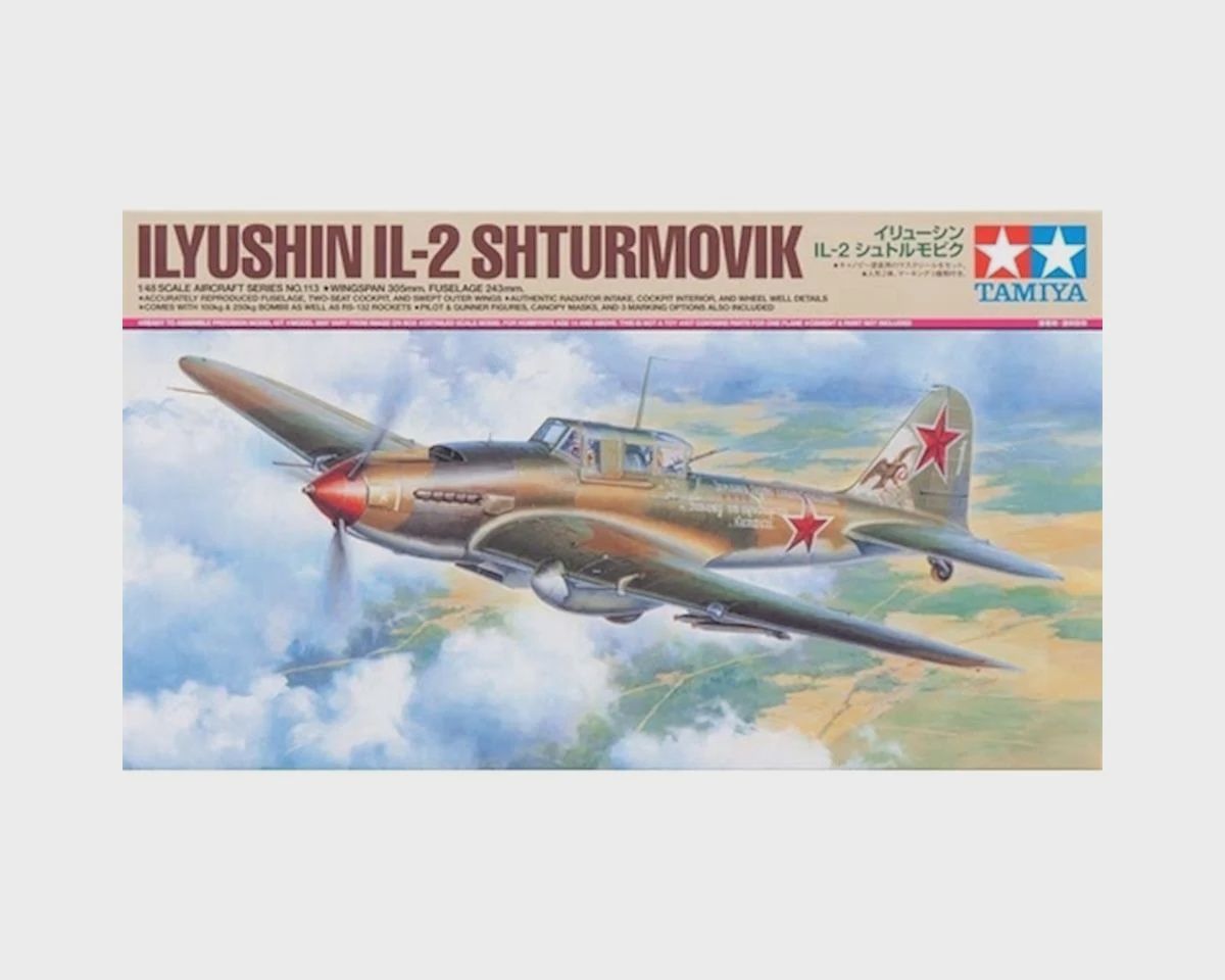 TAM61113