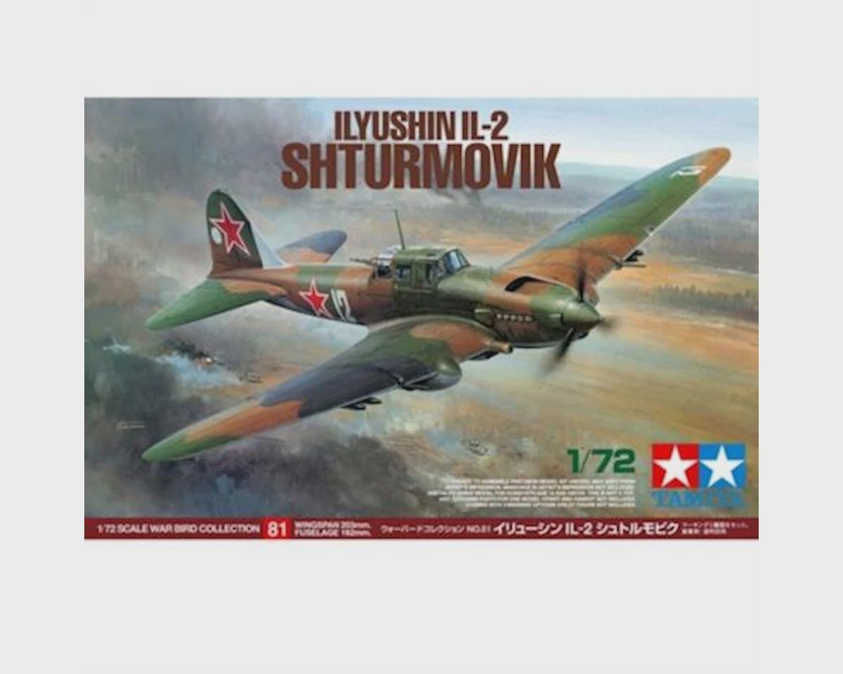 TAM60781