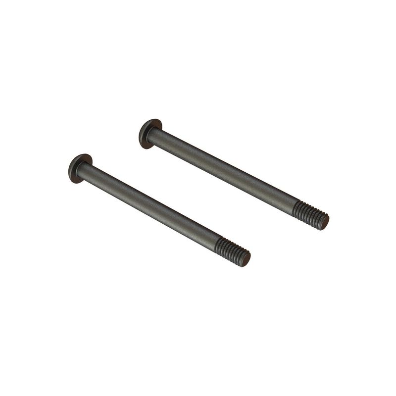 Screw Hinge Pin M4x48mm (2pcs) — ARA727448