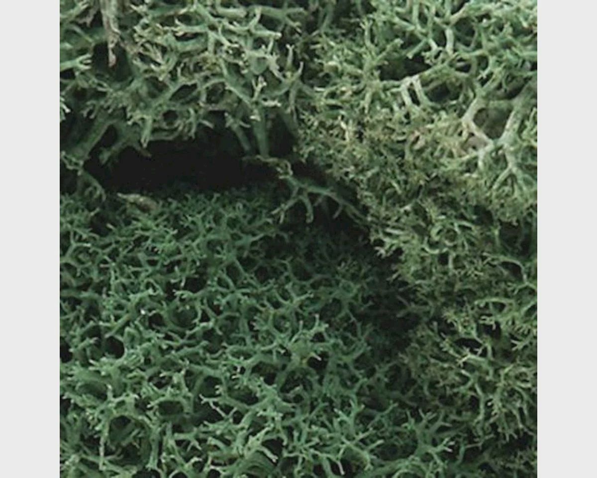 WOOL162