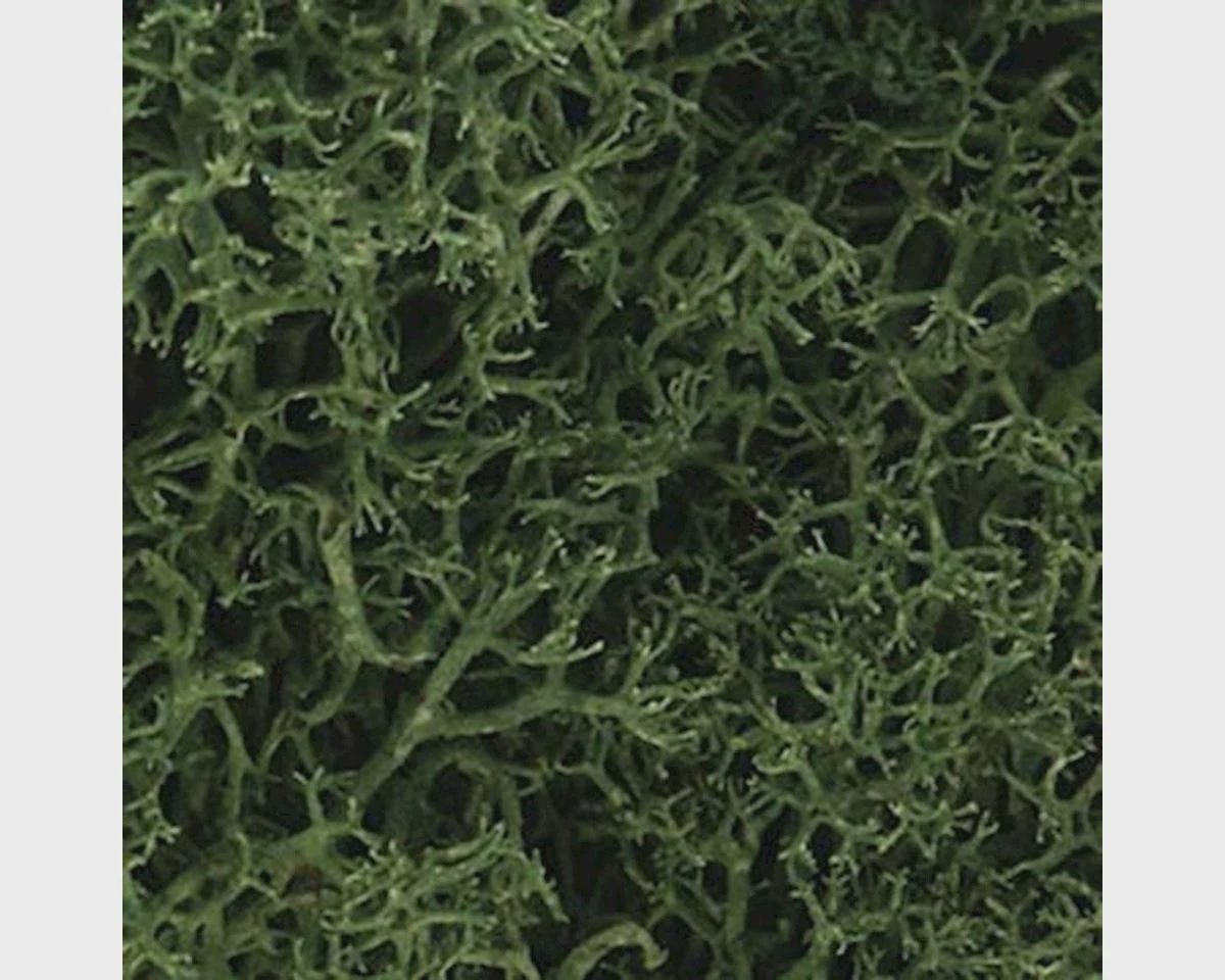 WOOL163