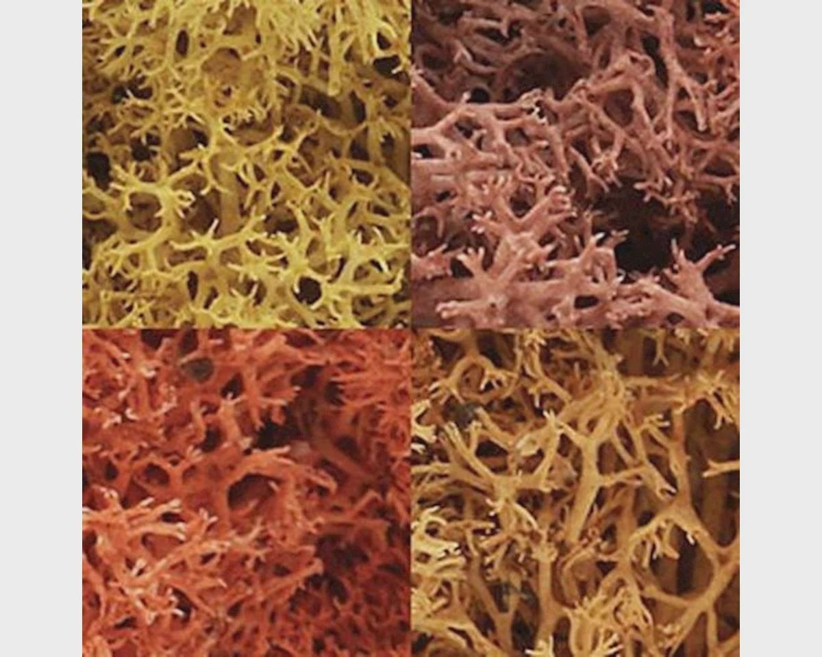 WOOL165