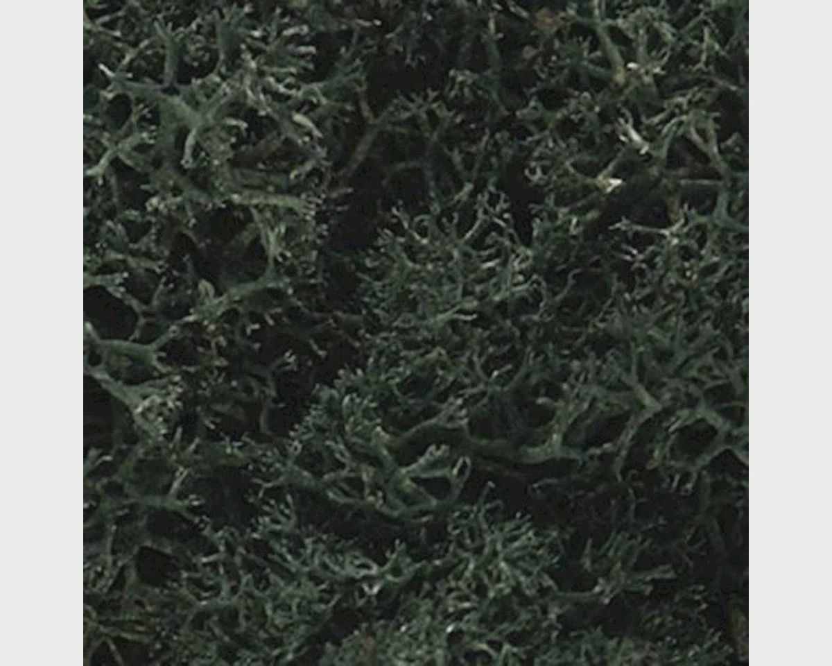 WOOL164