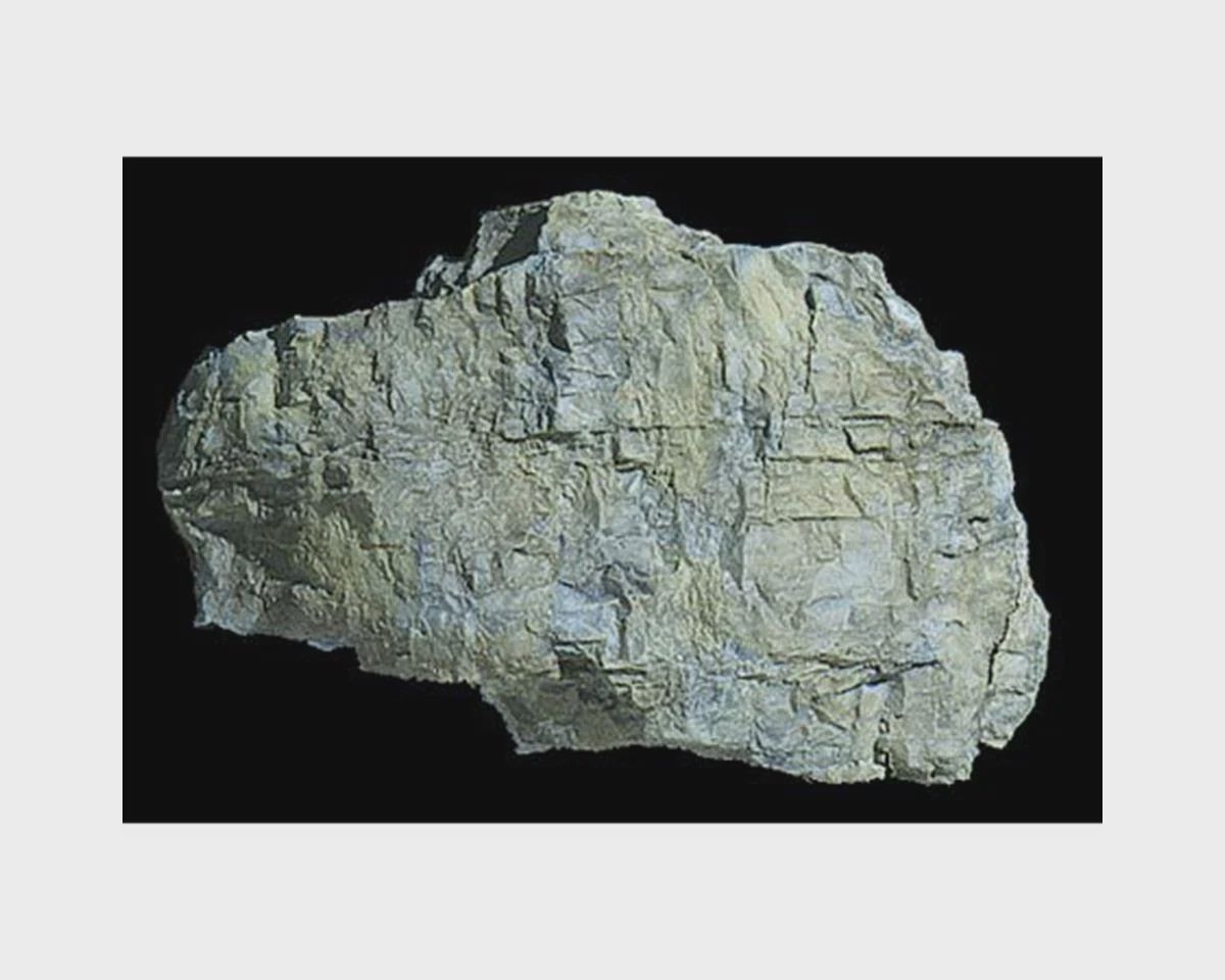 WOOC1240