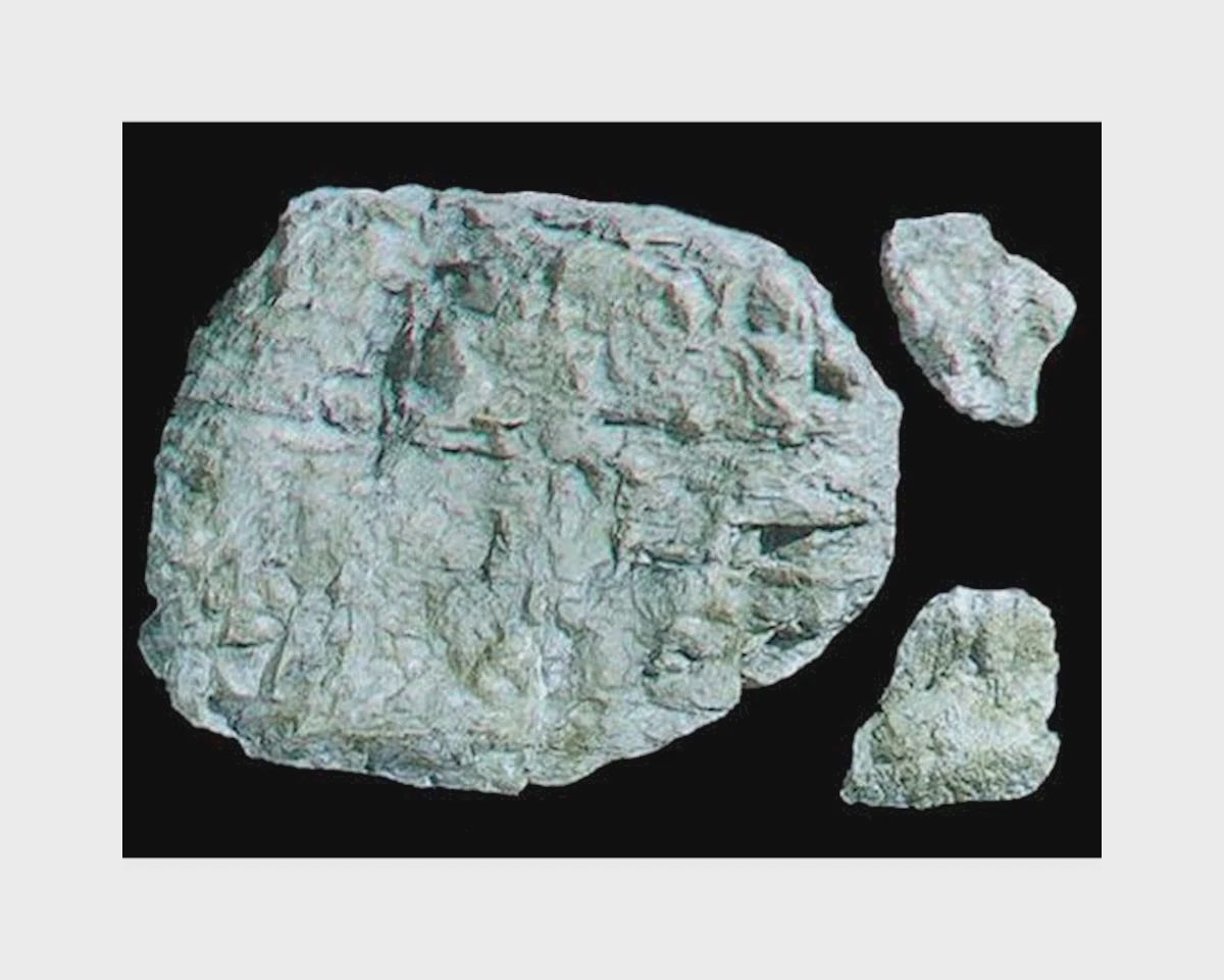WOOC1235
