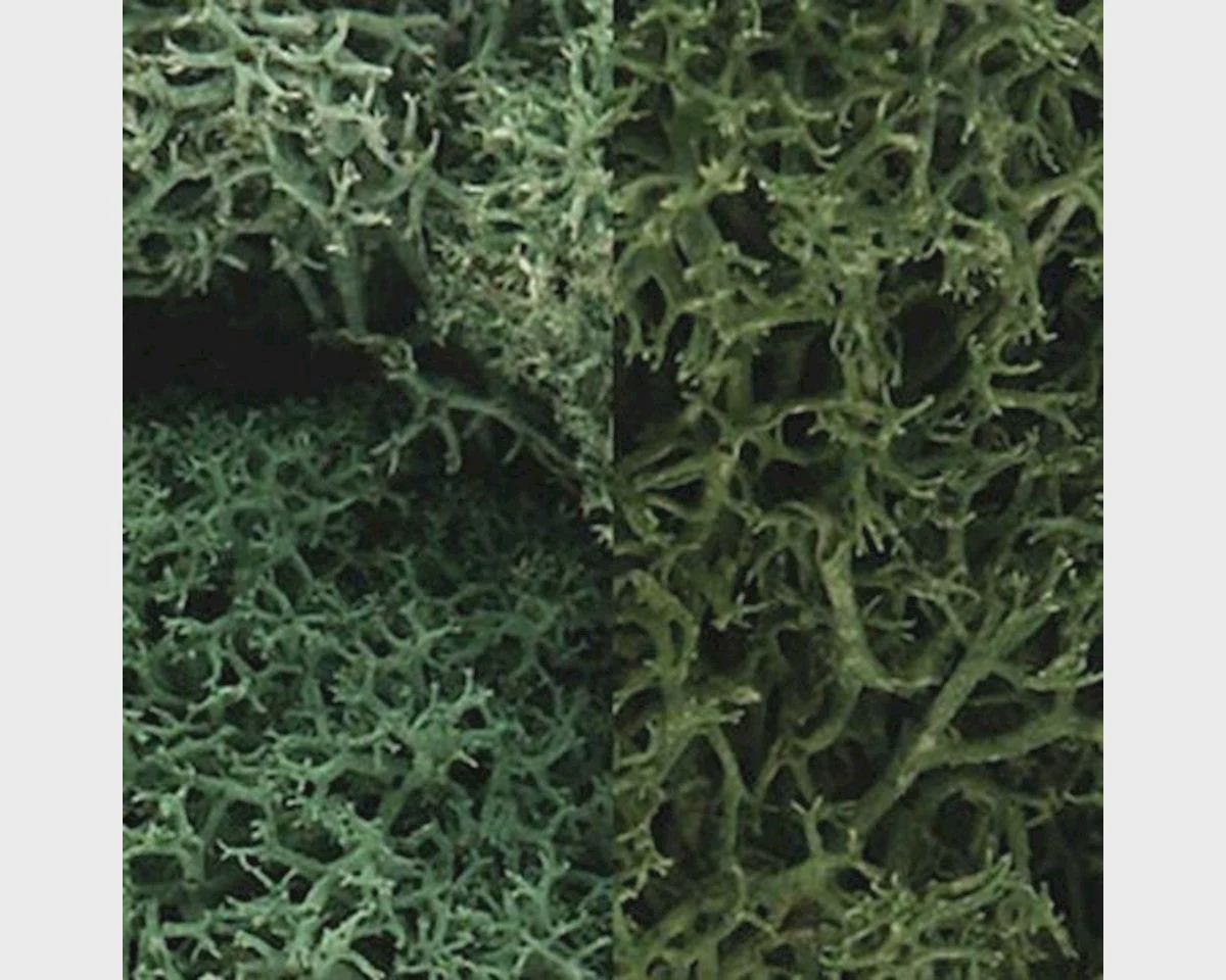 WOOL167
