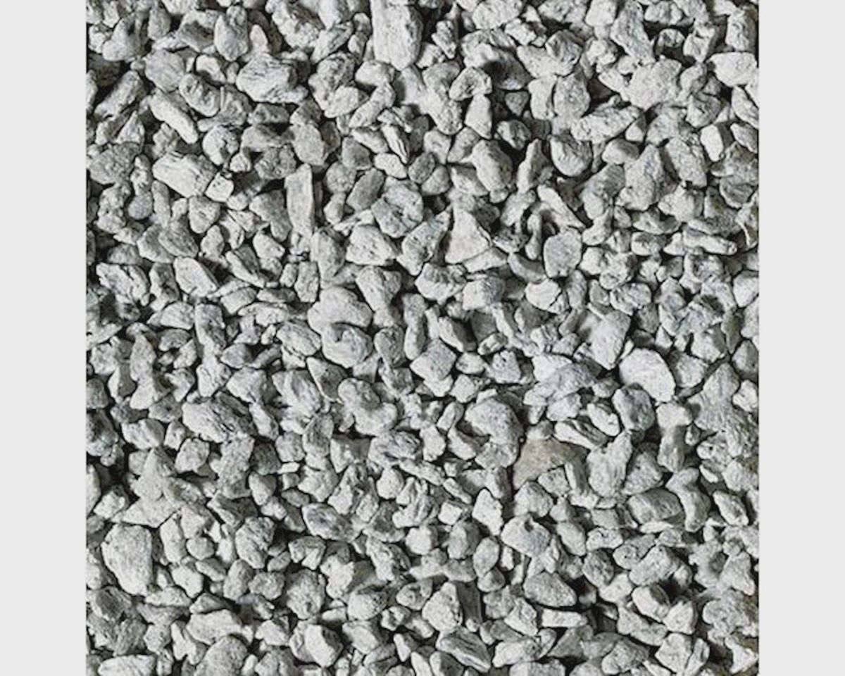 WOOC1279