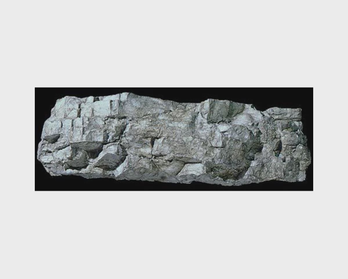 WOOC1244