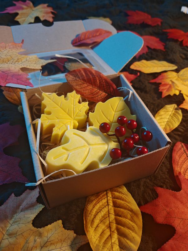 Enchanted Autumn