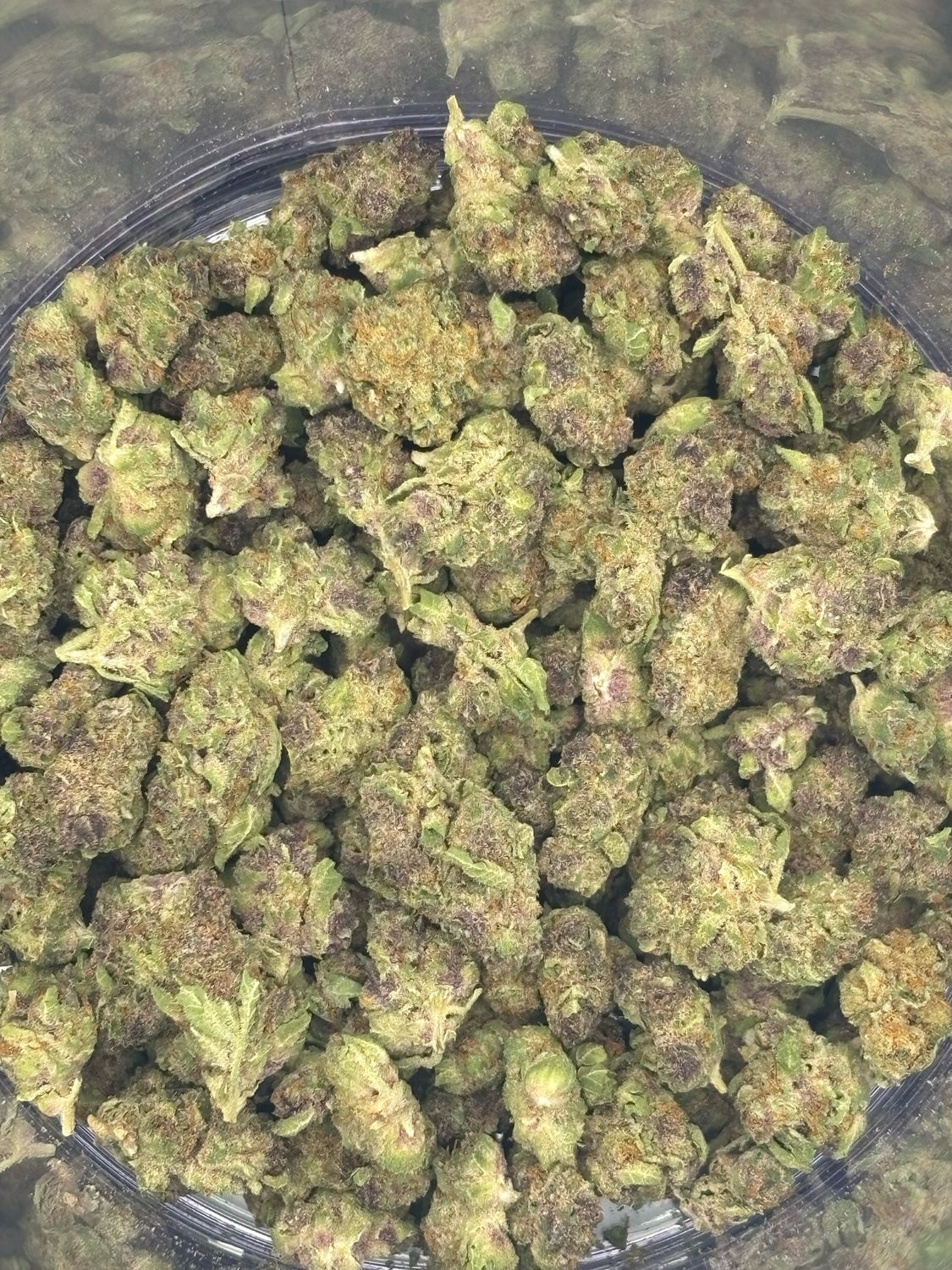 Show Me Stash - Trop Cherry - Hybrid