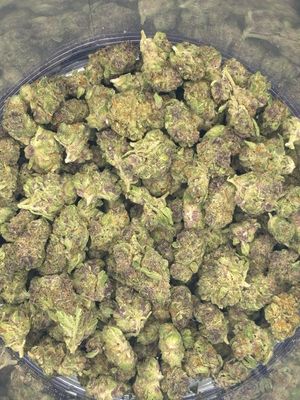Show Me Stash - Trop Cherry - Hybrid
