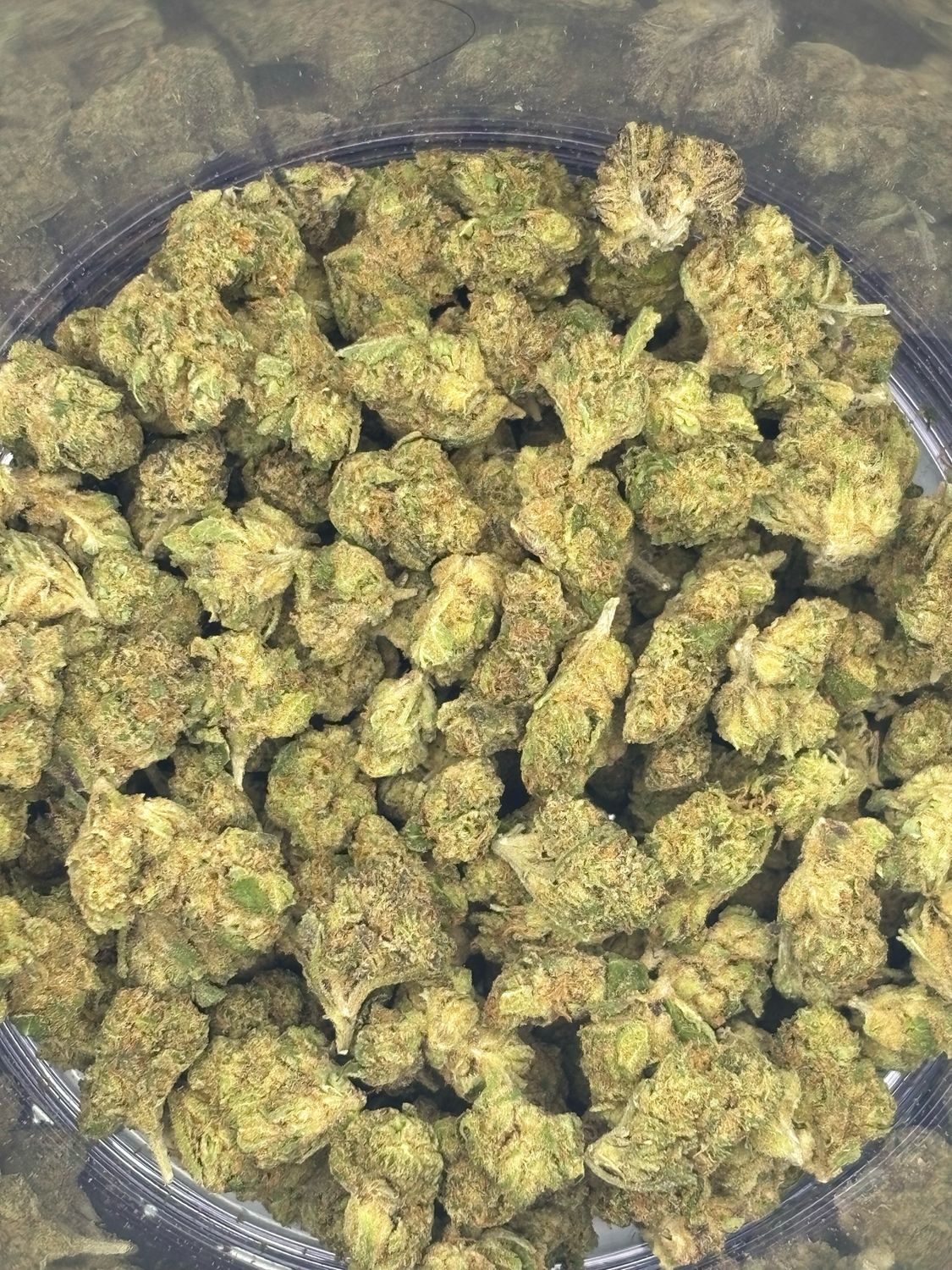 Show Me Stash - Little Rocket - Indica