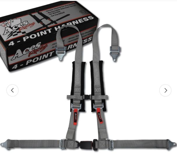 4 Point Harness with Ez-Buckle- Silver