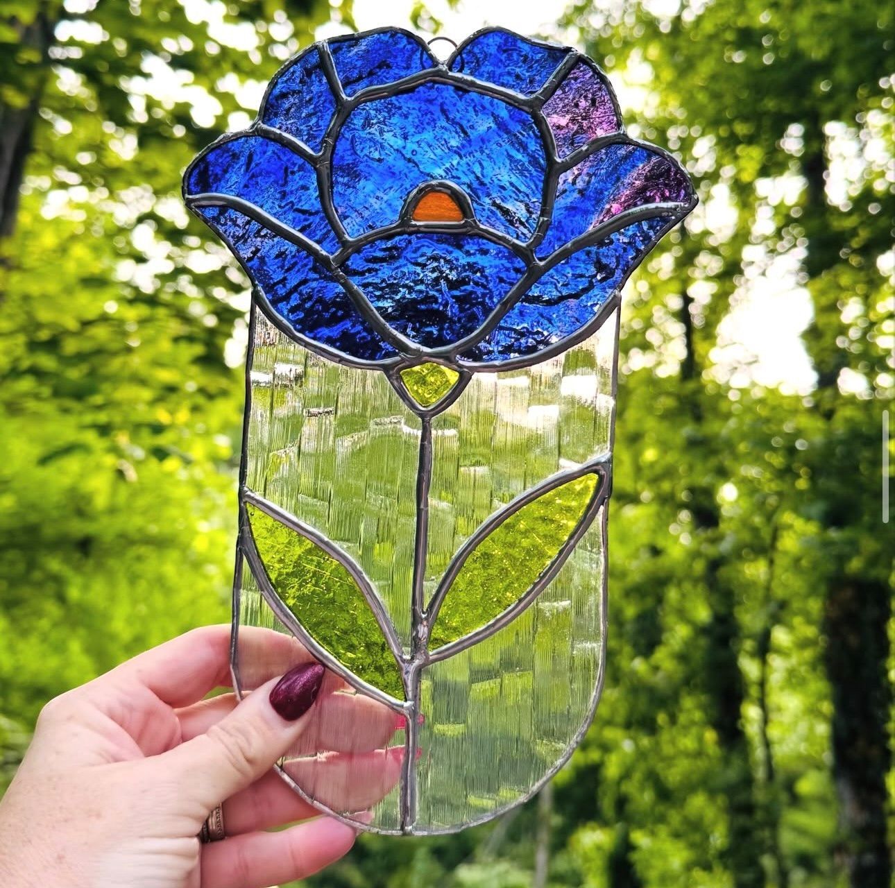 Blue Poppy Blue Poppy