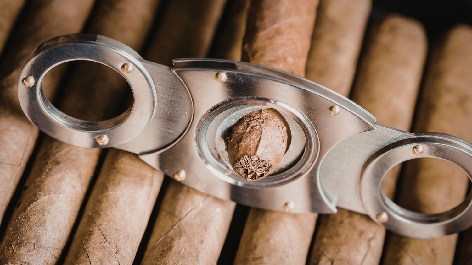 Cocoa Cutter
