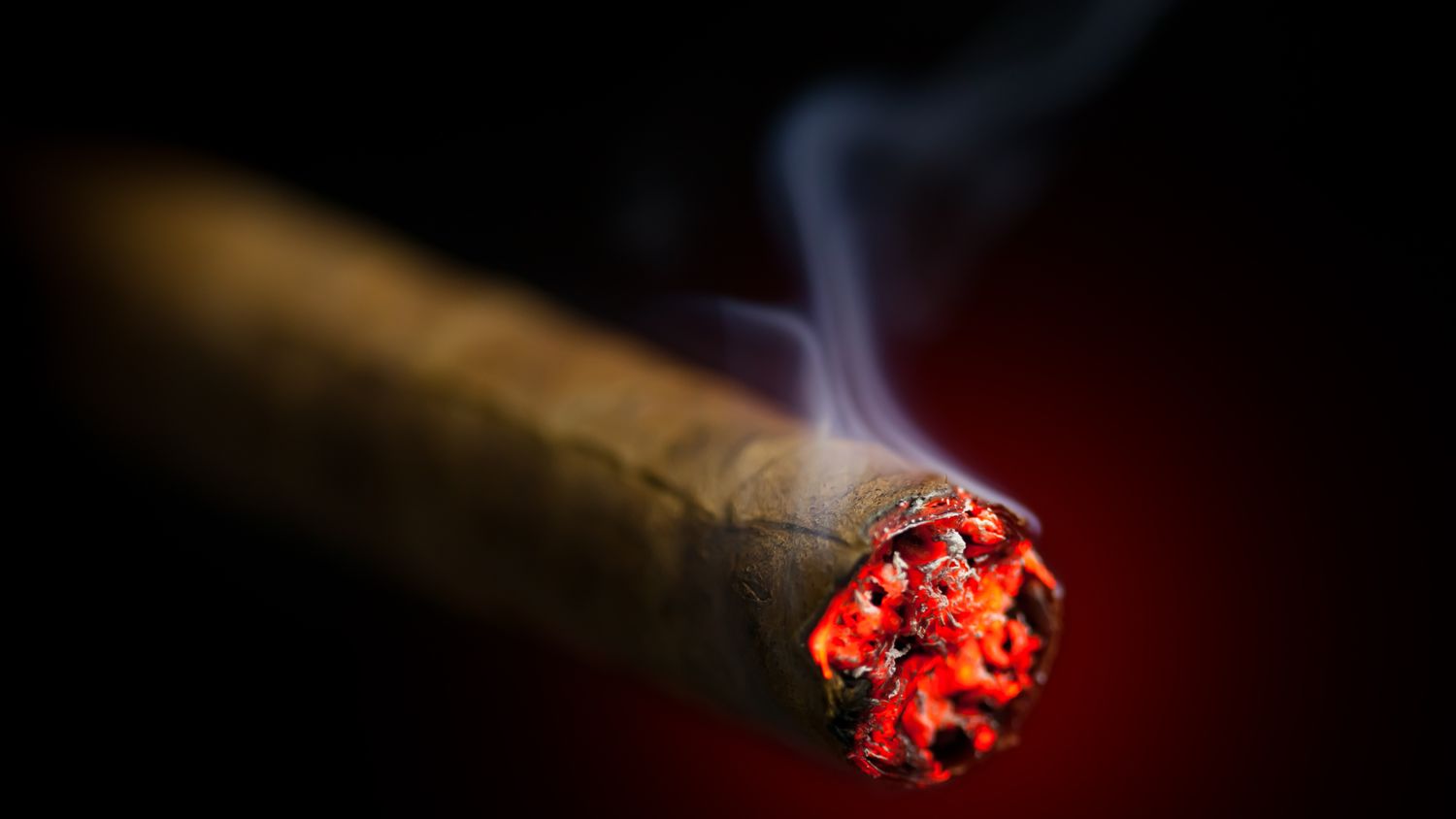 Dominican Maduro Dominican Maduro