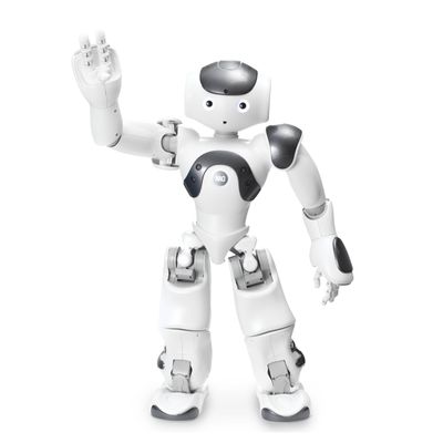 AI / Robotics