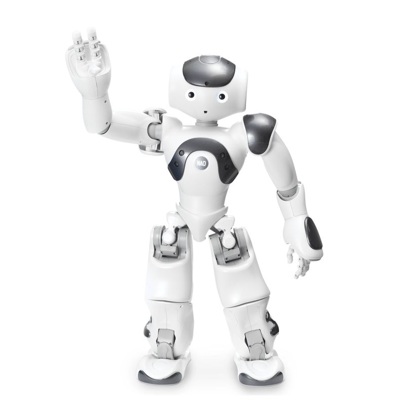 AI / Robotics